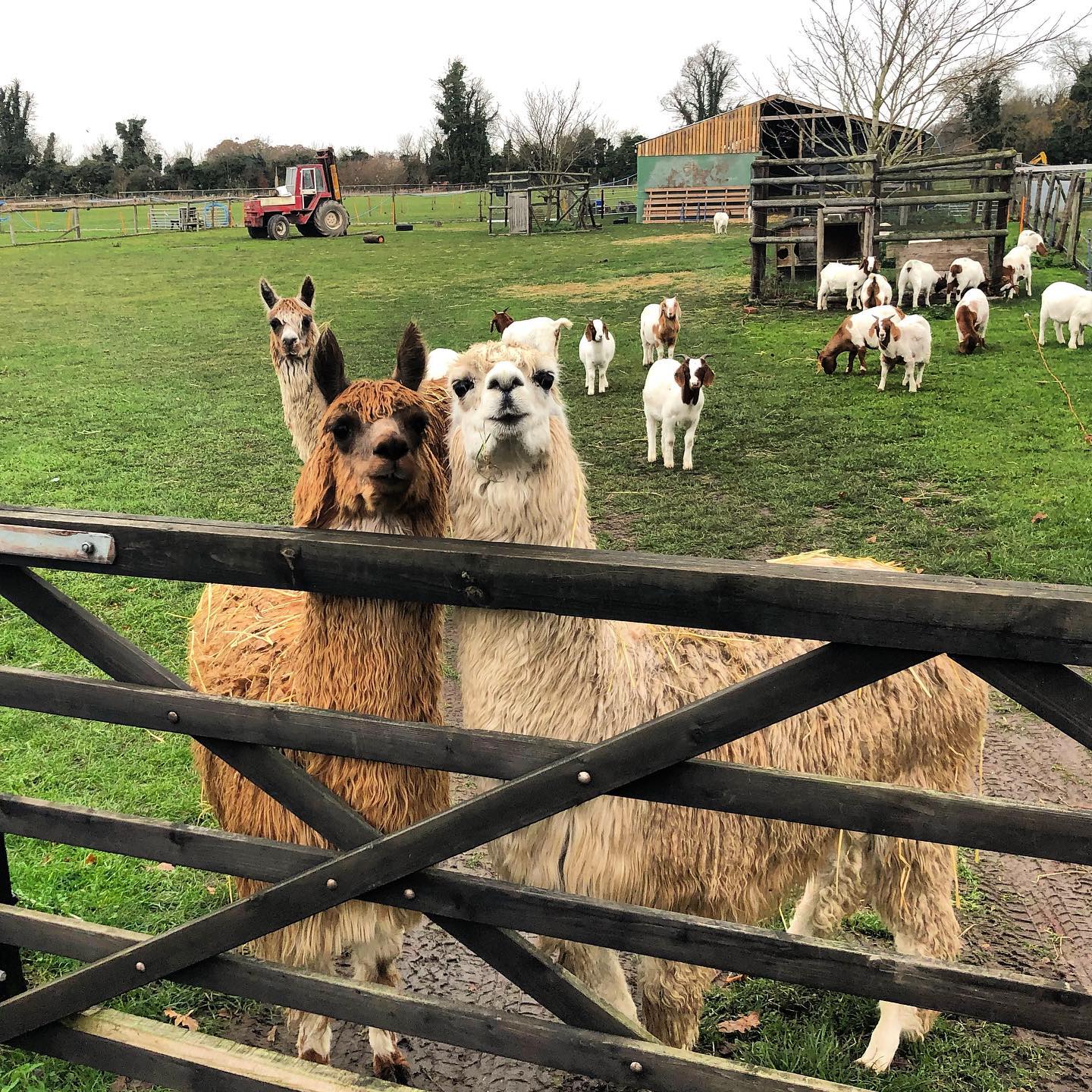 Contact us Cupola Farm